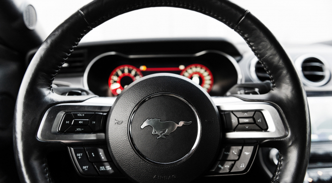 <img src="pubdb/bilder/object/1019/20/660Mustang-021.jpg"/>