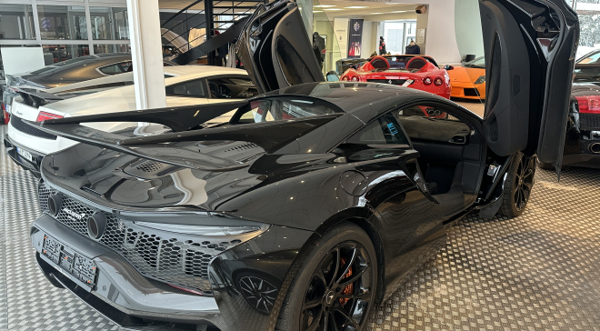 <img src="pubdb/bilder/object/1033/3/660IMG_3560.jpg"/>