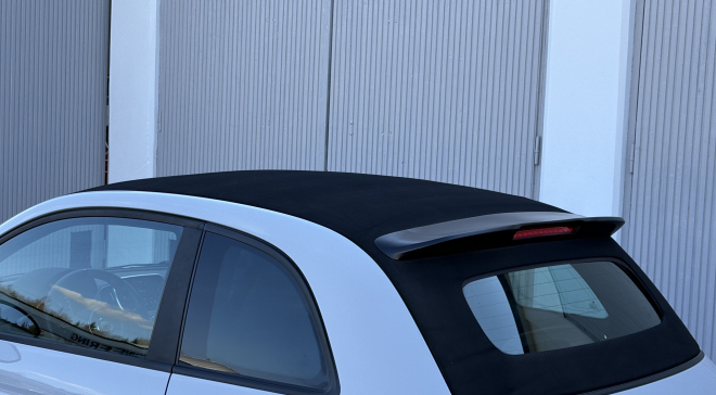 <img src="pubdb/bilder/object/924/21/660IMG_7295.jpg"/>